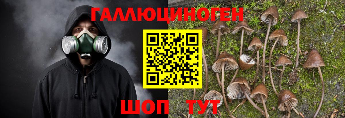 Галлюциногенные грибы ЛСД Саяногорск
