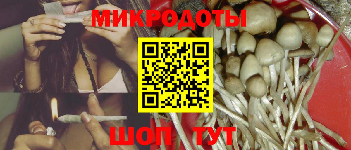 Псилоцибиновые грибы Psilocybine cubensis  Вход с VPN  Саяногорск 